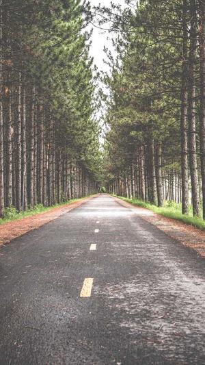 爆料黑料网截图3