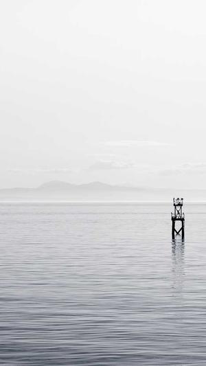 qq吃瓜内黄截图3