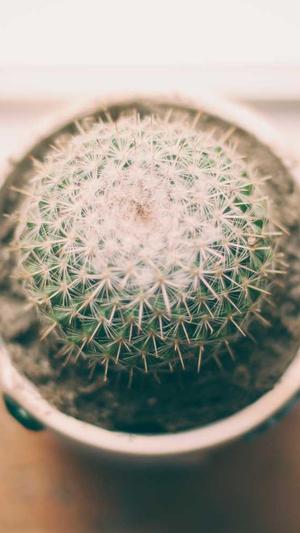 黑料:不打烊截图3