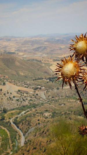 黑料不打烊网址截图2