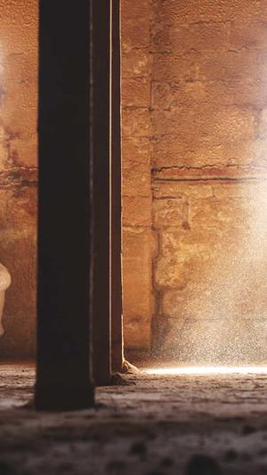 老番茄黑料截图4